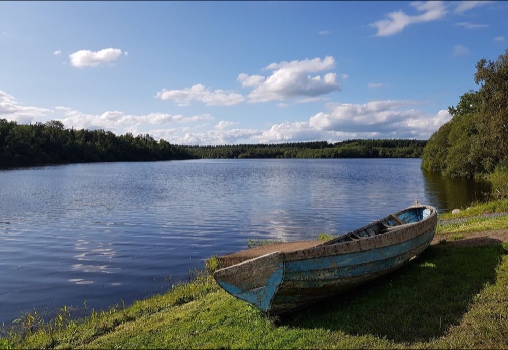 A rowing boat on the shore of Lough Oughter, County Cavan