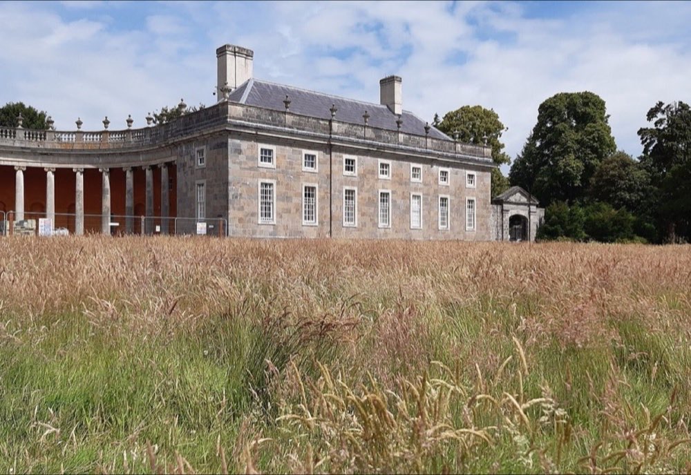 Castletown House above a summer meadow in Celbridge, County Kildare